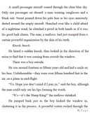 Bungo Stray Dogs volume 7