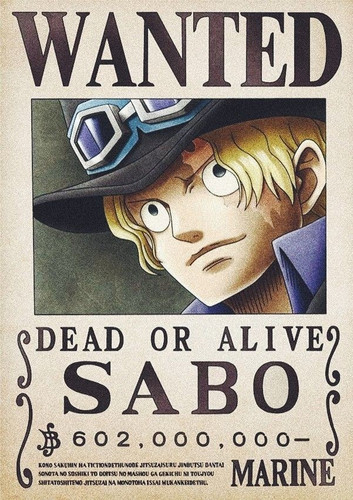 wanted sabo