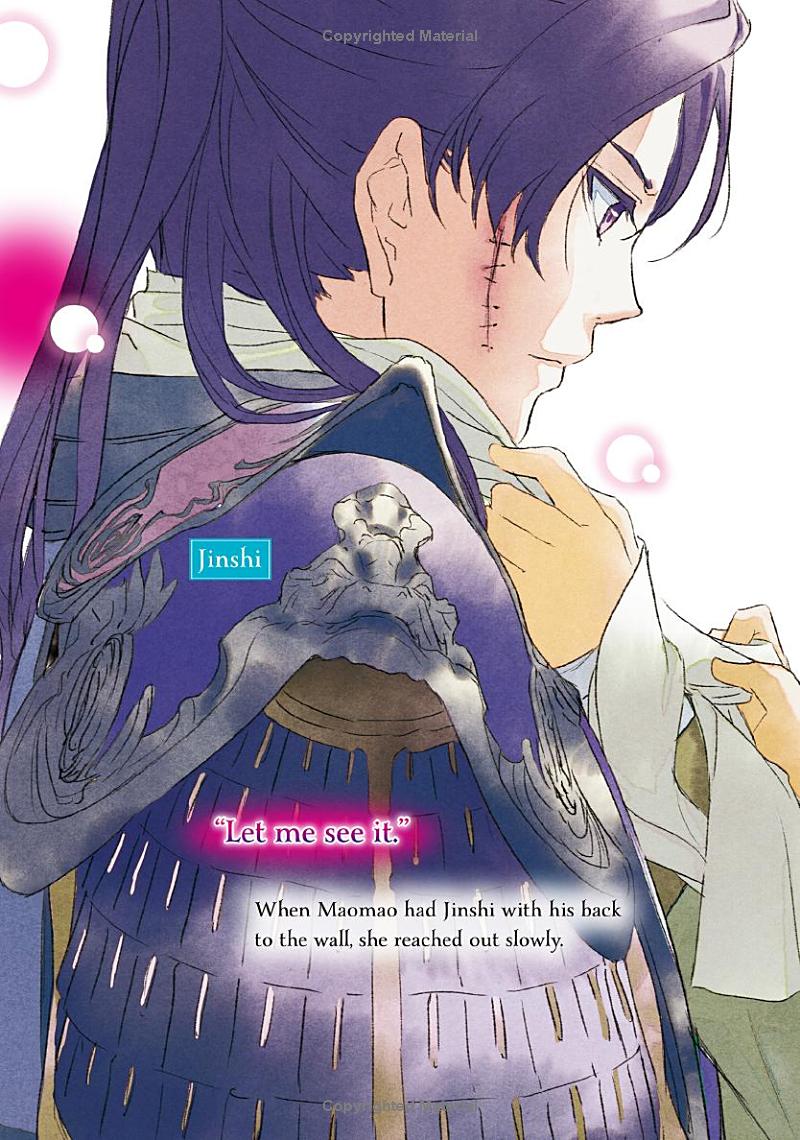 The Apothecary Diaries (Light Novel)