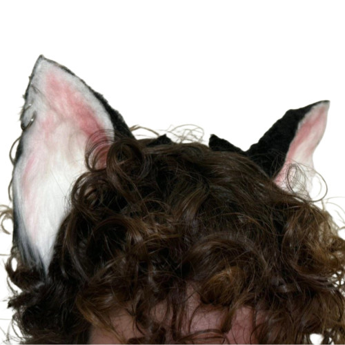 گوش خزدار گربه ای سیاه و سفید