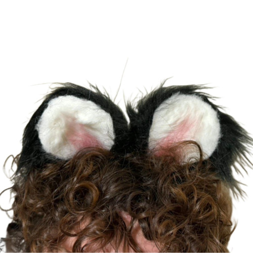 گوش خزدار موش و خرس