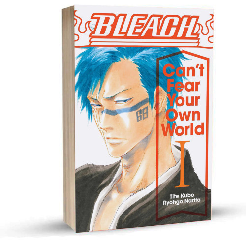 لایت ناول بلیچ جلد1